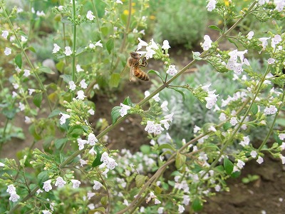 RIMG0735.jpg