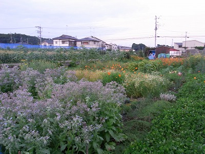 RIMG0769.jpg