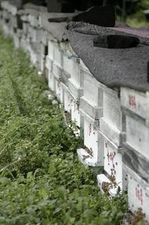 _IGP3688 - Rs[.JPG