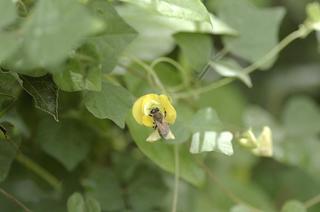 _IGP3954 - Rs[.JPG
