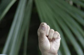_IGP4664 - Rs[.JPG
