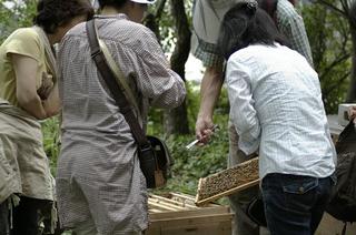 _IGP4696 - Rs[.JPG
