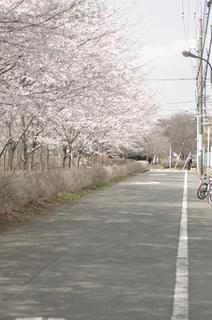_IGP7134 - Rs[.JPG