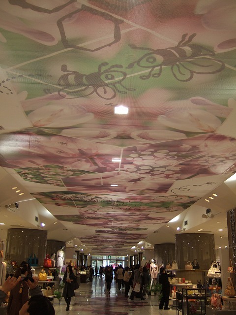 Dscf5102