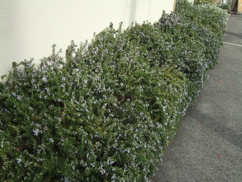 Dscf5202