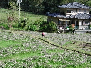 Dscn1092