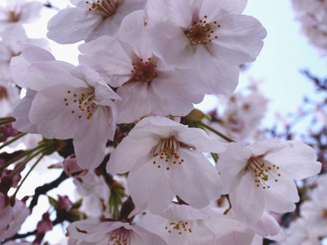 Fi1222510_0e