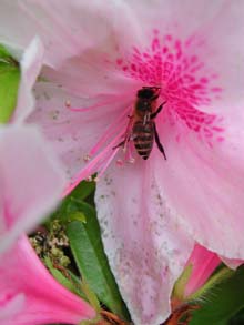 Fi1318259_0e