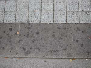 Fi1332809_2e