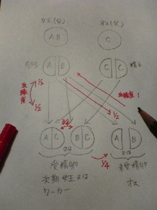 Fi1347753_2e