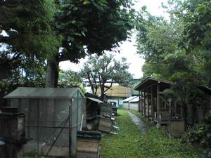 Fi1831467_1e