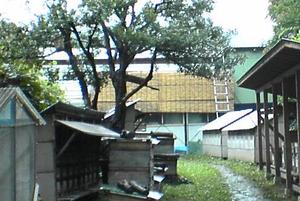 Fi1831467_3e