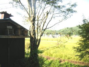 Fi1883730_1e