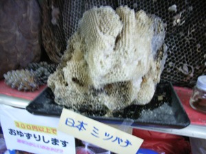 Fi1883730_4e