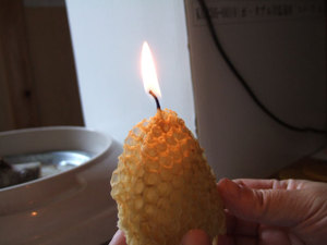 Fi1935021_0e