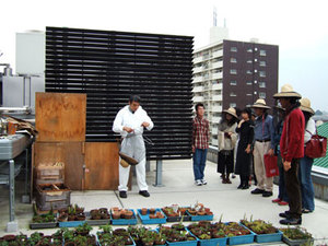 Fi2008161_0e