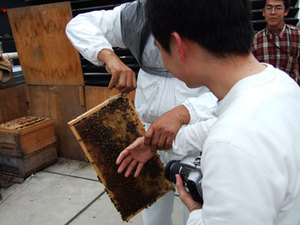 Fi2008161_2e