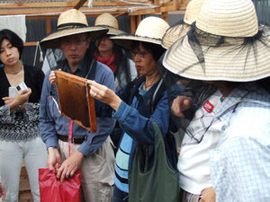 Fi2008161_3e