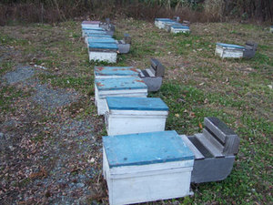 Fi2093430_2e