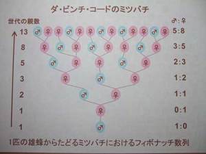 Fi2549099_1e