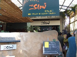Fi2621314_1e