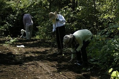 kabocha4.jpg
