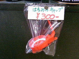 Rimg0011