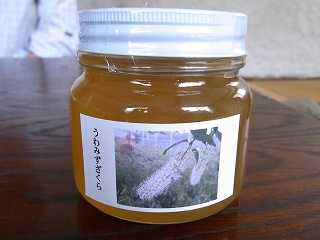Rimg0094